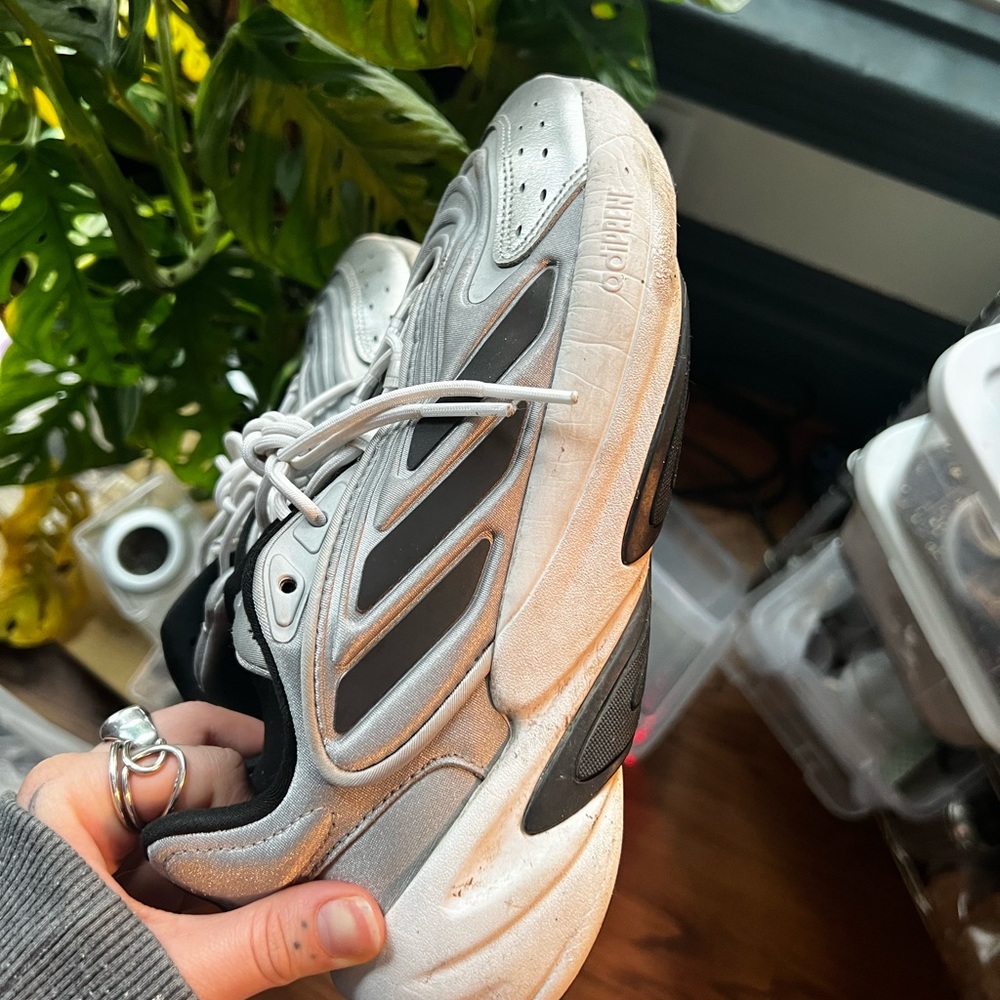 Adidas Oswego